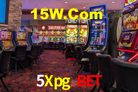 5Xpg Bet App Interface