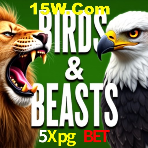 Explorando a Categoria de Eventos em Apostas na 5Xpg Bet
